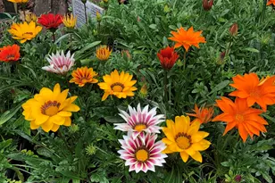 671 Rubber Ave, Naugatuck, CT 06770 - Photo 31