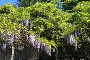 671 Rubber Ave, Naugatuck, CT 06770 - Photo 27