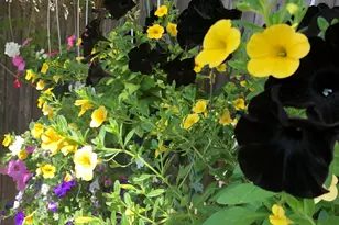 671 Rubber Ave, Naugatuck, CT 06770 - Photo 29