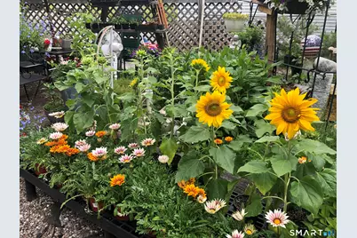 671 Rubber Avenue, Naugatuck, CT 06770 - Photo 37