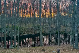 29 Whitney Rd, Columbia, CT 06237 - Photo 29