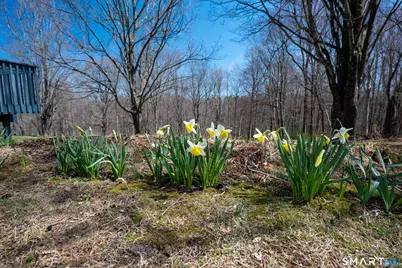 46 High Ridge Road, Brookfield, CT 06804 - Photo 37