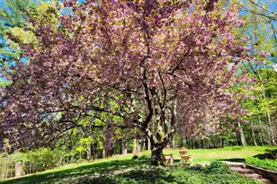 254 Aspetuck Ridge Rd, New Milford, CT 06776 - Photo 3