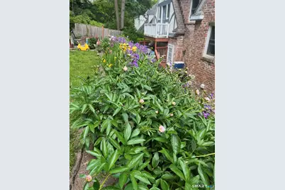 5 Halliwell Drive, Stamford, CT 06902 - Photo 31