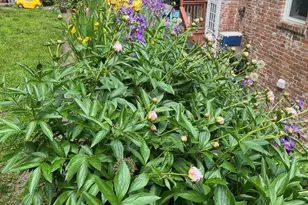 5 Halliwell Dr, Stamford, CT 06902 - Photo 31