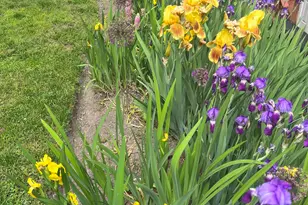 5 Halliwell Dr, Stamford, CT 06902 - Photo 33