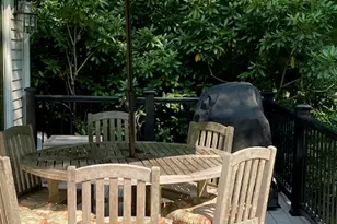 177 W Hyerdale Dr, Goshen, CT 06756 - Photo 9