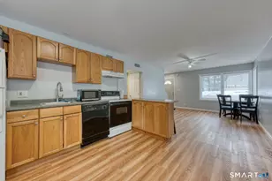 7 Ardman Dr, Windham, CT 06226 - Photo 7