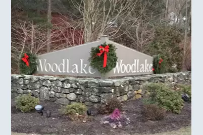 2 South Meadows #2, Woodbury, CT 06798 - Photo 39