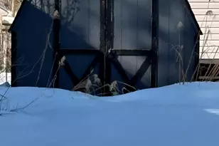 252 Old Canterbury Turnpike, Norwich, CT 06360 - Photo 3