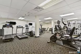 59 Courtland Ave, Stamford, CT 06902 - Photo 19