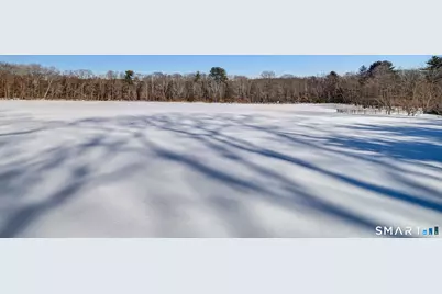 98 Cedar Lane, New Hartford, CT 06057 - Photo 1