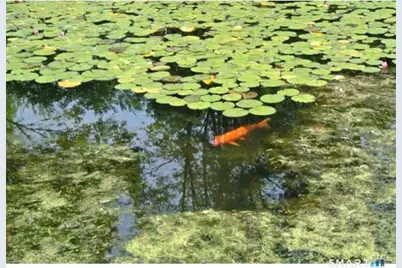 38 Strawberry Ridge, Warren, CT 06777 - Photo 13