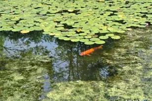 38 Strawberry Ridge, Warren, CT 06777 - Photo 13