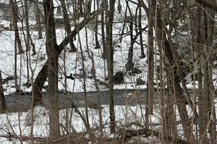 48 Wrights Crossing Rd, Pomfret, CT 06259 - Photo 13