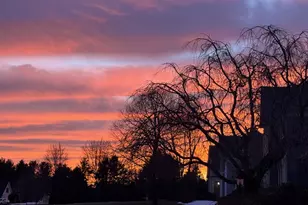 9 Partridge Landing, Glastonbury, CT 06033 - Photo 3