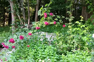 17 Route 6, Columbia, CT 06237 - Photo 29