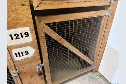 1119 Harbor View Drive #1119, Rocky Hill, CT 06067 - Photo 11