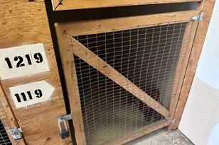 1119 Harbor View Dr, Rocky Hill, CT 06067 - Photo 11