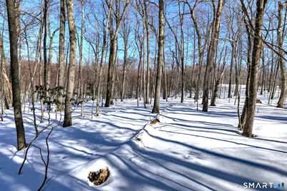 239 Cedar Ridge Drive, Glastonbury, CT 06033 - Photo 7