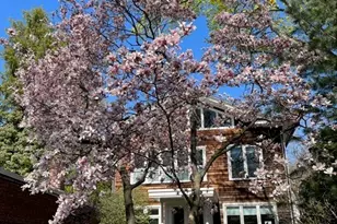 38 Eld St, New Haven, CT 06511 - Photo 33