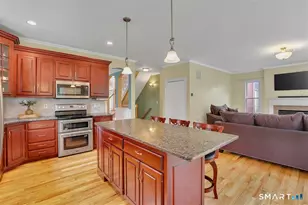 17 Birmingham Cir, Farmington, CT 06085 - Photo 13
