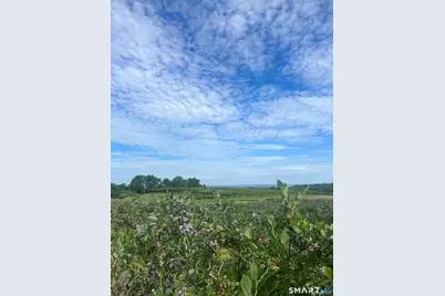 280-300 Matson Hill Road, Glastonbury, CT 06073 - Photo 7