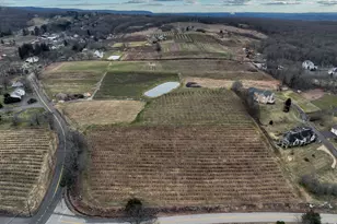 280 & 300 Matson Hill Rd, Glastonbury, CT 06073 - Photo 1