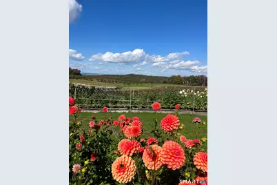 280-300 Matson Hill Road, Glastonbury, CT 06073 - Photo 17