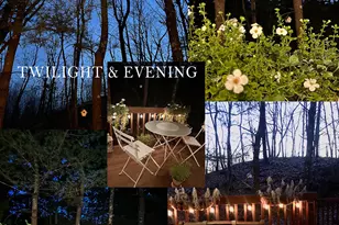 380 Hitchcock Rd, Waterbury, CT 06705 - Photo 29