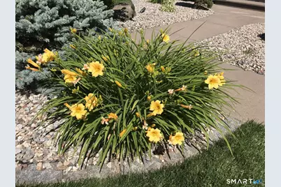 5 Westmont Road, Wethersfield, CT 06109 - Photo 13