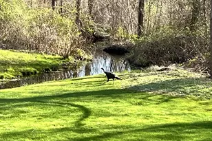 5 Westmont Rd, Wethersfield, CT 06109 - Photo 17