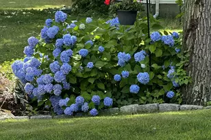 38 Vernon Rd, Enfield, CT 06082 - Photo 37