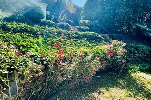 253 Kneeland Rd, New Haven, CT 06512 - Photo 27