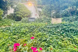 253 Kneeland Rd, New Haven, CT 06512 - Photo 29