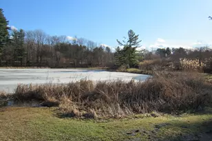 7 Blueberry Ln, Plymouth, CT 06786 - Photo 33