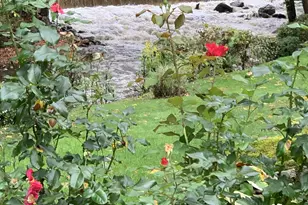 403 Silver Creek Ln, Norwalk, CT 06850 - Photo 35