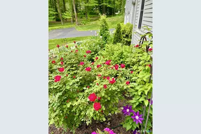 11 Bishop Drive, Woodbridge, CT 06525 - Photo 25