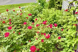 11 Bishop Dr, Woodbridge, CT 06525 - Photo 25