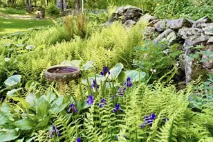 11 Bishop Dr, Woodbridge, CT 06525 - Photo 27