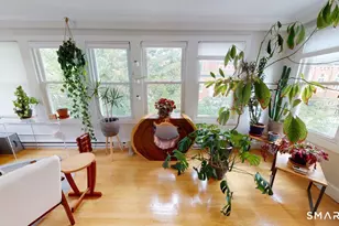 6 Eld St, New Haven, CT 06511 - Photo 15