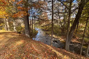 447 South St, Litchfield, CT 06759 - Photo 35