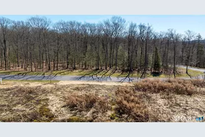 110 Windsor Court, Avon, CT 06001 - Photo 3