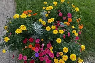 44 Glenrock, Norwalk, CT 06850 - Photo 7