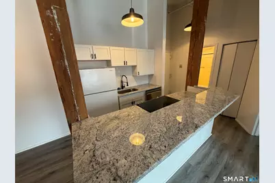 222 Williams Street East #APT 402, Glastonbury, CT 06033 - Photo 3