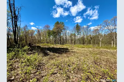 Clearview Avenue, Harwinton, CT 06791 - Photo 11