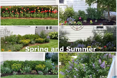 33 Myrtle Street, Norwalk, CT 06855 - Photo 25