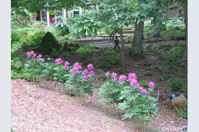 64 Summerwood Ridge, Tolland, CT 06084 - Photo 37