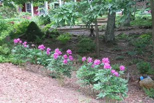 64 Summerwood Ridge, Tolland, CT 06084 - Photo 37