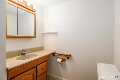 19 Cedar Drive, Danbury, CT 06811 - Photo 29